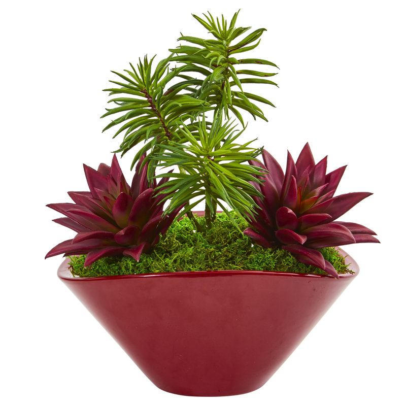 Primrue Artificial Garden Cactus Succulent Plant in Decorative Vase & Reviews Wayfair